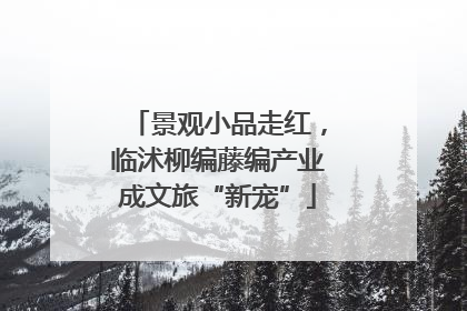 景观小品走红，临沭柳编藤编产业成文旅“新宠”