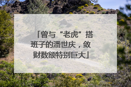 曾与“老虎”搭班子的潘世庆，敛财数额特别巨大