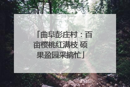 曲阜彭庄村：百亩樱桃红满枝 硕果盈园采摘忙