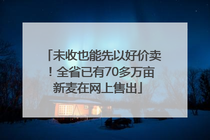 未收也能先以好价卖！全省已有70多万亩新麦在网上售出