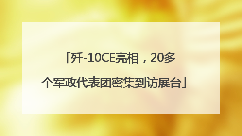 歼-10CE亮相，20多个军政代表团密集到访展台