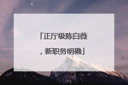 正厅级陈白薇，新职务明确