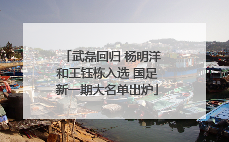 武磊回归 杨明洋和王钰栋入选 国足新一期大名单出炉