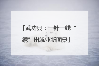 武功县：一针一线“绣”出就业新图景