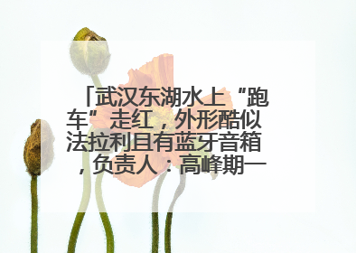 武汉东湖水上“跑车”走红，外形酷似法拉利且有蓝牙音箱，负责人：高峰期一两百人排队
