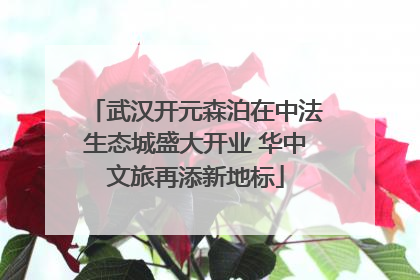 武汉开元森泊在中法生态城盛大开业 华中文旅再添新地标