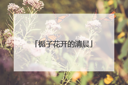 栀子花开的清晨