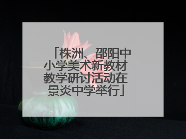 株洲、邵阳中小学美术新教材教学研讨活动在景炎中学举行