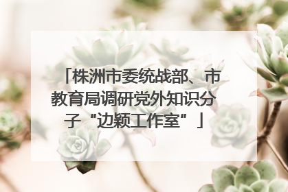 株洲市委统战部、市教育局调研党外知识分子“边颖工作室”