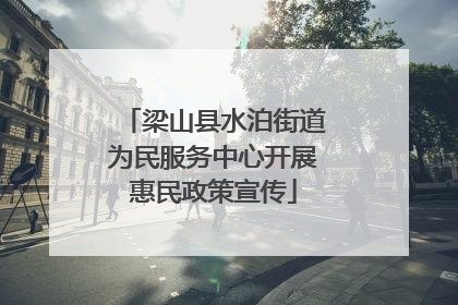 梁山县水泊街道为民服务中心开展惠民政策宣传