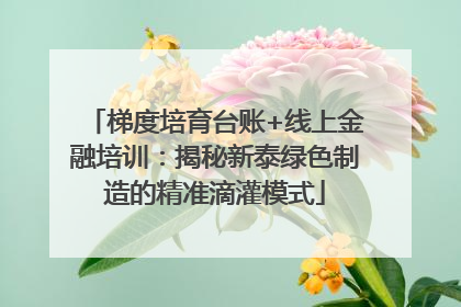 梯度培育台账+线上金融培训：揭秘新泰绿色制造的精准滴灌模式