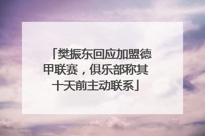 樊振东回应加盟德甲联赛，俱乐部称其十天前主动联系