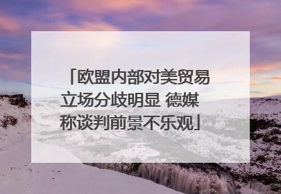 欧盟内部对美贸易立场分歧明显 德媒称谈判前景不乐观