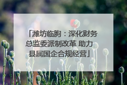 潍坊临朐：深化财务总监委派制改革 助力县属国企合规经营