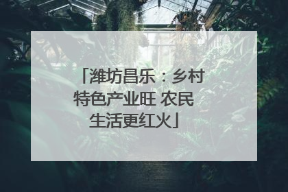 潍坊昌乐：乡村特色产业旺 农民生活更红火