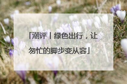 潮评丨绿色出行，让匆忙的脚步变从容