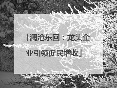 澜沧东回：龙头企业引领促民增收