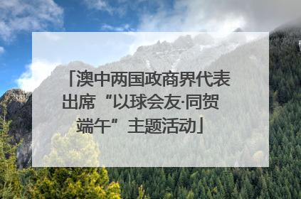 澳中两国政商界代表出席“以球会友·同贺端午”主题活动