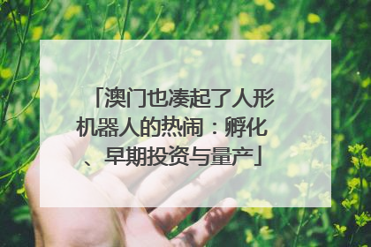 澳门也凑起了人形机器人的热闹：孵化、早期投资与量产