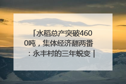 水稻总产突破4600吨，集体经济翻两番：永丰村的三年蜕变｜您牵挂的四川