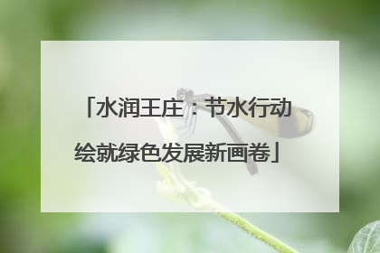 水润王庄：节水行动绘就绿色发展新画卷