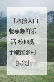 水韵大白畅享趣鲜乐活 校地携手赋能乡村振兴
