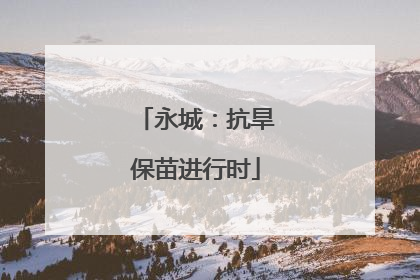 永城：抗旱保苗进行时