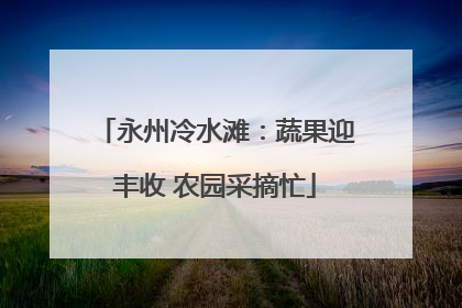 永州冷水滩：蔬果迎丰收 农园采摘忙