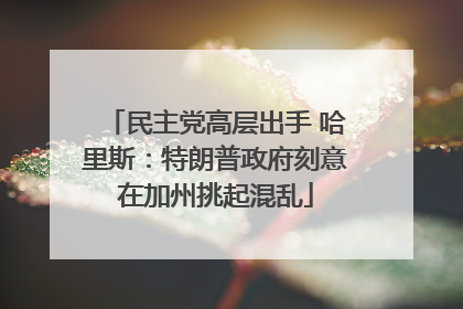 民主党高层出手 哈里斯：特朗普政府刻意在加州挑起混乱