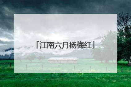 江南六月杨梅红