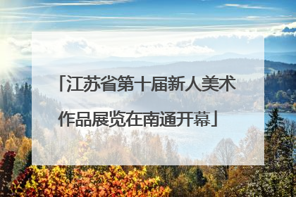 江苏省第十届新人美术作品展览在南通开幕