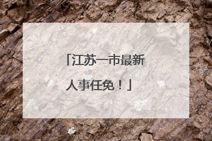 江苏一市最新人事任免！