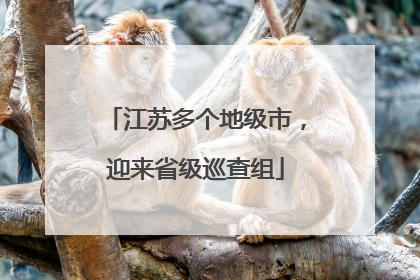 江苏多个地级市，迎来省级巡查组