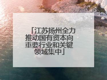 江苏扬州全力推动国有资本向重要行业和关键领域集中