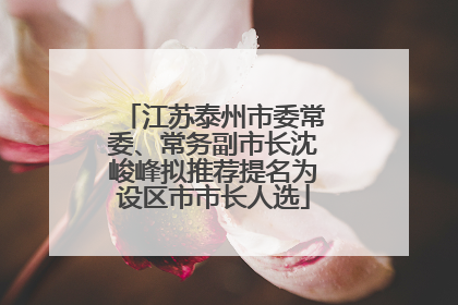 江苏泰州市委常委、常务副市长沈峻峰拟推荐提名为设区市市长人选