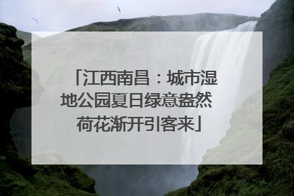 江西南昌：城市湿地公园夏日绿意盎然 荷花渐开引客来