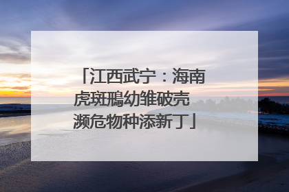 江西武宁：海南虎斑鳽幼雏破壳 濒危物种添新丁