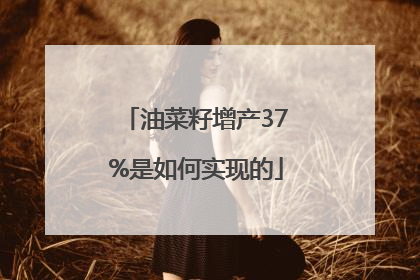 油菜籽增产37%是如何实现的