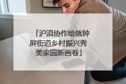 沪滇协作绘就钟屏街道乡村振兴秀美家园新画卷