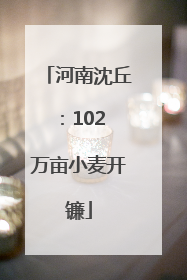 河南沈丘：102 万亩小麦开镰