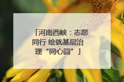 河南西峡：志愿同行 绘就基层治理“同心圆”