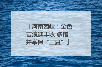 河南西峡：金色麦浪迎丰收 多措并举保“三夏”