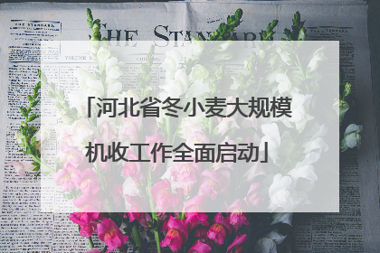 河北省冬小麦大规模机收工作全面启动