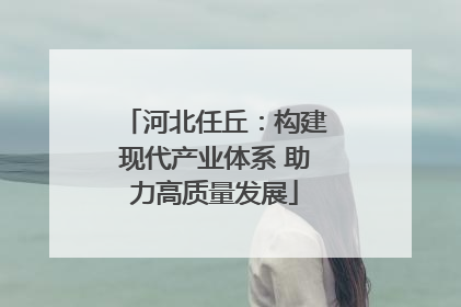 河北任丘：构建现代产业体系 助力高质量发展