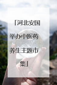 河北安国举办中医药养生主题市集