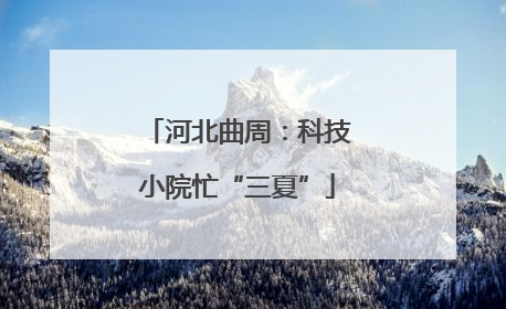 河北曲周：科技小院忙“三夏”