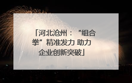 河北沧州：“组合拳”精准发力 助力企业创新突破