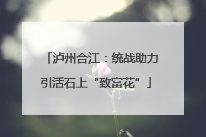 泸州合江：统战助力引活石上“致富花”