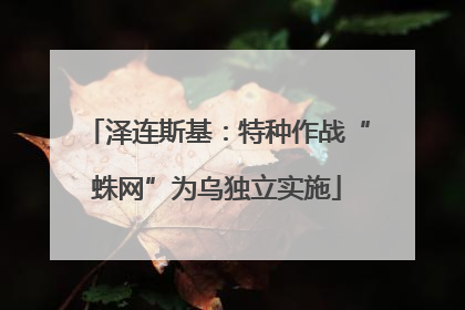 泽连斯基：特种作战“蛛网”为乌独立实施
