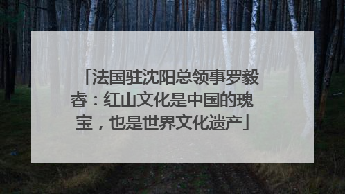 法国驻沈阳总领事罗毅睿：红山文化是中国的瑰宝，也是世界文化遗产